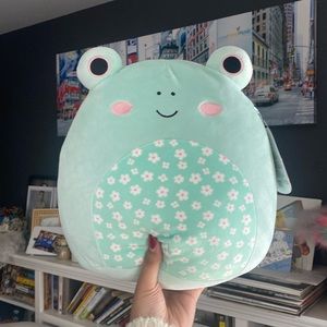 Fritz the frog squishmallow! NWT!